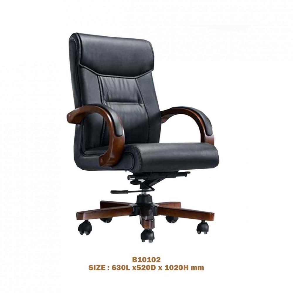 EXECUTIVE OFFICE CHAIR B10102